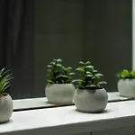 The Olive House Apartment *