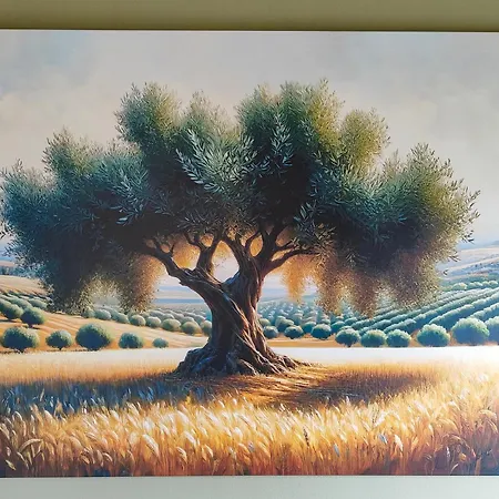 The Olive House Apartment Dikella