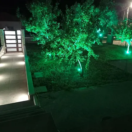 The Olive House