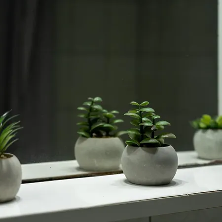 The Olive House Apartment *