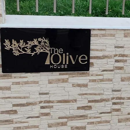 アパート The Olive House