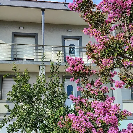Apartment The Olive House *
