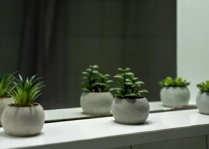 The Olive House アパート *